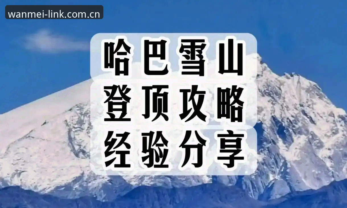 完美体育平台下载问题最新动态：三步解决方案与实战经验分享